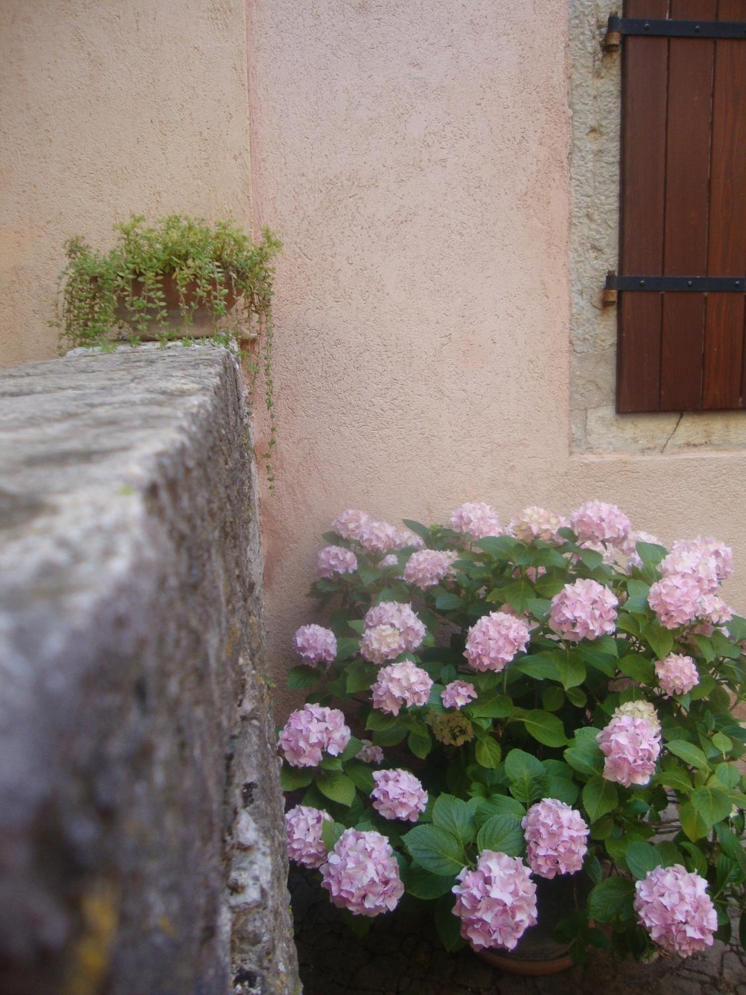 Bed & Breakfast Antico Motovun Eksteriør bilde