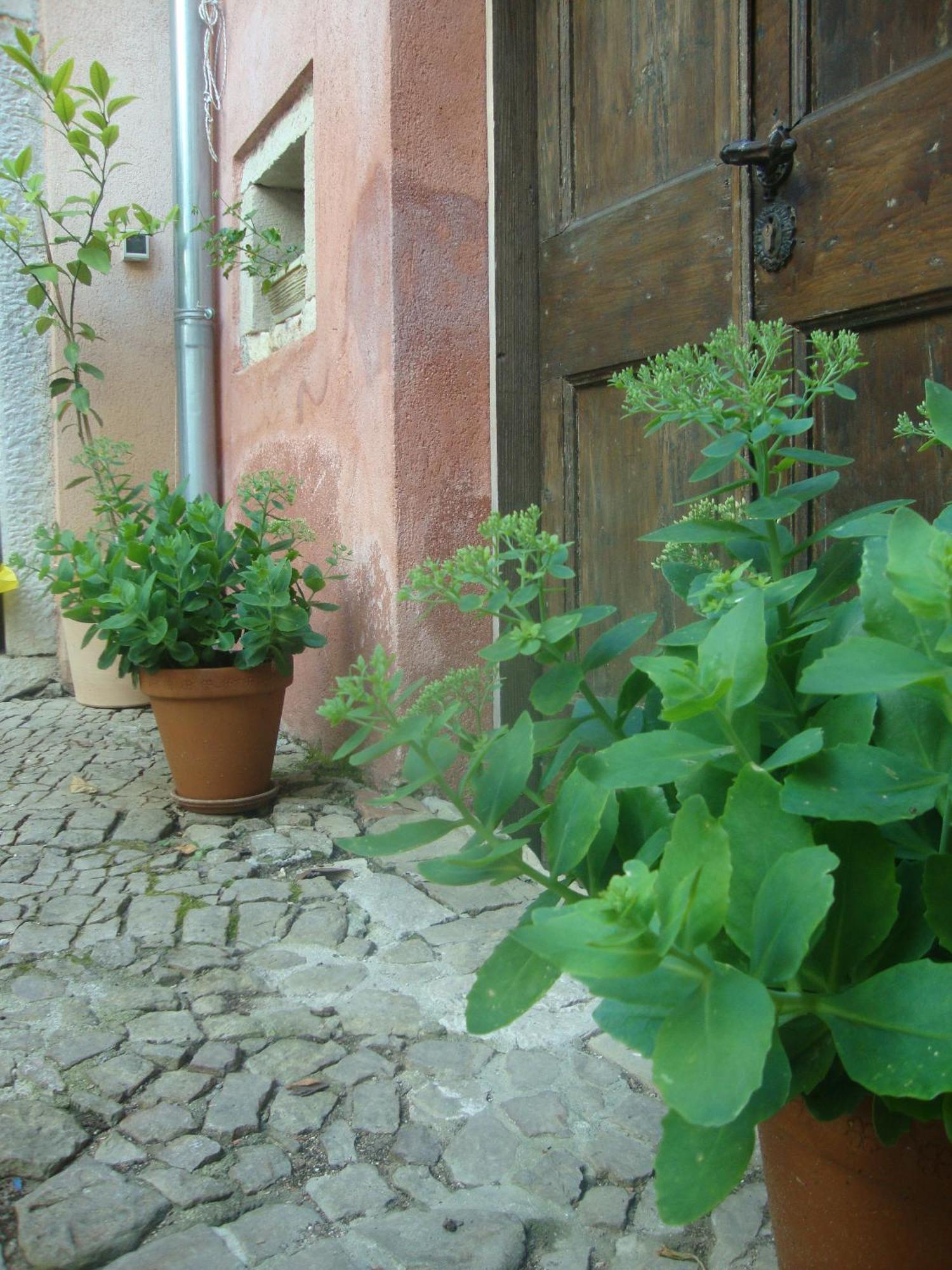 Bed & Breakfast Antico Motovun Eksteriør bilde