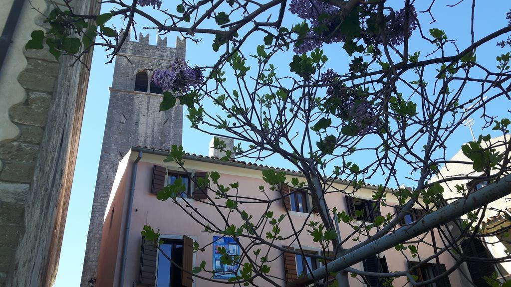 Bed & Breakfast Antico Motovun Eksteriør bilde